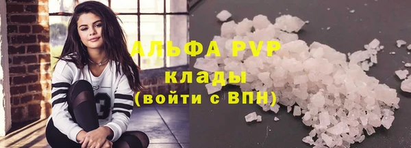 spice Новозыбков