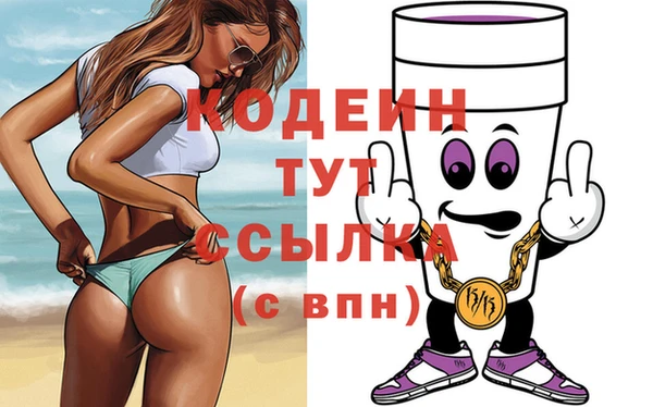 spice Новодвинск