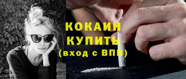 spice Новодвинск
