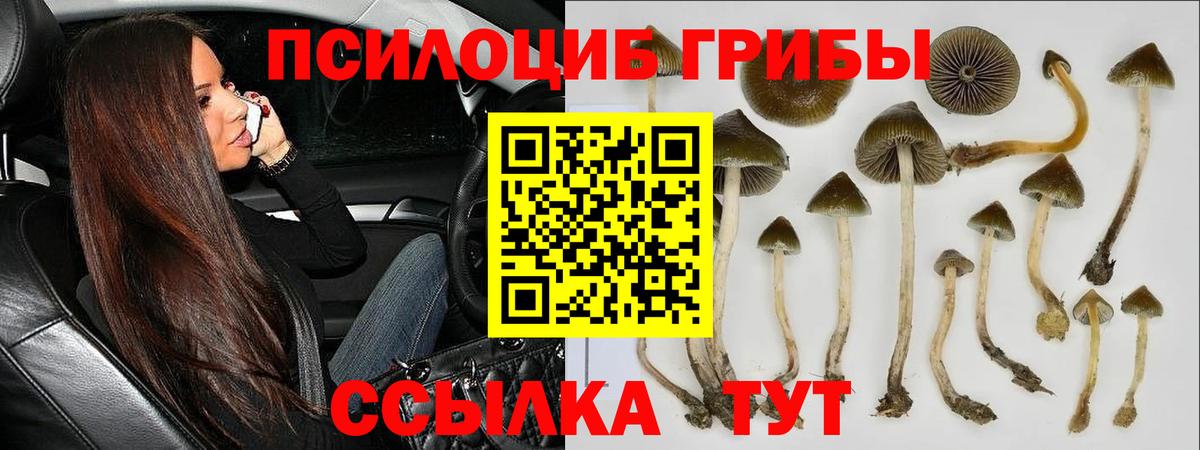 Галлюциногенные грибы мухоморы  Вход с VPN  Партизанск 